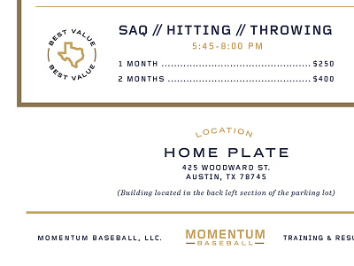 Momentum Flyer austin baseball flyer momentum sports texas training