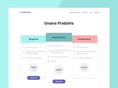 Bergstrom eco energy strom