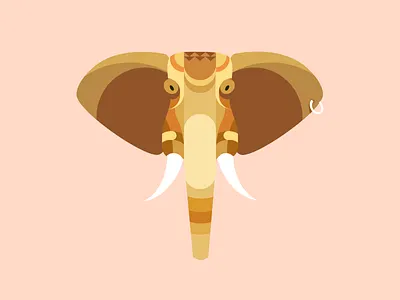 Elephant color elephant graphic illustration india