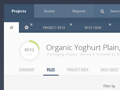 Tabbed Project Interface application design management tabs ui design