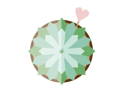 Succulent decor gifts love succulent wedding