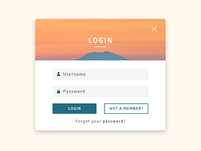 Daily UI_01 dailyui login signup ui