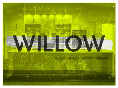 Willow Group branding gritty highlighter logo willow wordmark