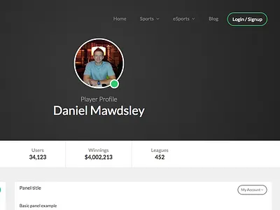 Anticipate Player Profile navigation profile statistics stats ui ux