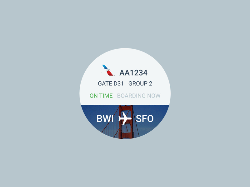 Daily UI 024 - Boarding Pass 024 boarding dailyui flight material