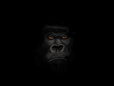 Digital Art of Gorilla art digital dribbble gorilla shot sketch wacom