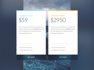 Shot 040 - Pricing Table buy card interface light minimal photo price purchase ui user