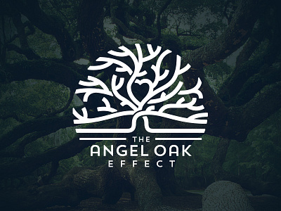 The Angel Oak Effect badges branding flat icons illustration illustrator lines logos nature oak vector