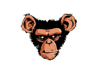 Monkey illustration monkey