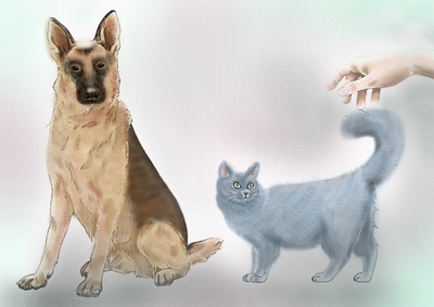 Animal care digital art illustration sketchbook