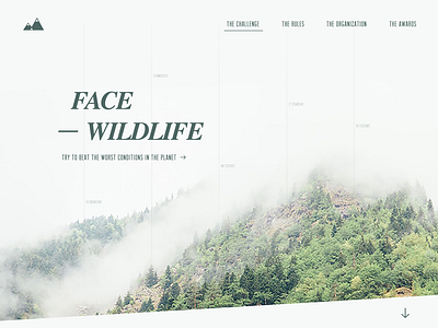 Landing Page adventure green landing ui website wildlife