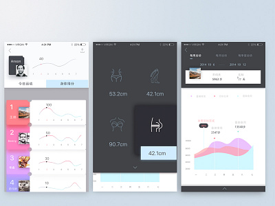 Weight Measurement 001 and application body health measurement of on the