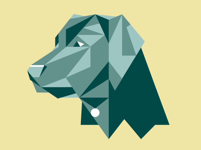 PUP animal dog labrador puppy