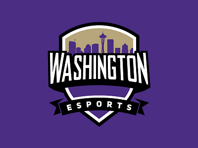 University Of Washington // E Sports