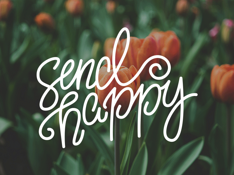 Send Happy custom lettering custom typography hand lettering lettering script typeface typography