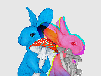 Mushroom Rabbits amanita bunny character illustration insane mad multiply mushroom psilocybin rabbit realistic toadstool