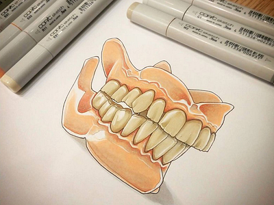 Jaw Copic marker illustration anatomy copic illustration jaw