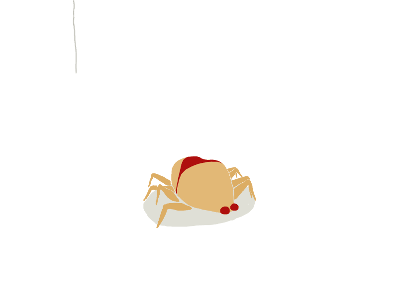 Spider strut 2d animation bikini booty cel animation spider walk