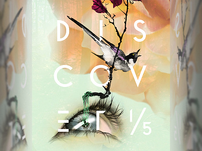 Discover Poster analyze bird blog blog post discover eye perception perception branding poster poster series typography