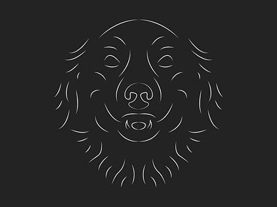 Boulder Meers dog golden retriever linework meers monoline