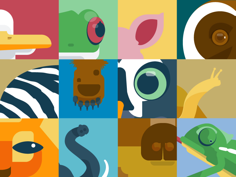 Animals animals illustration minimalist vector