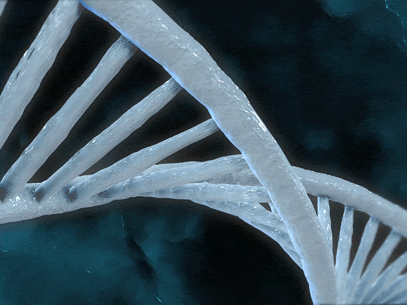 Tutorial: DNA 3d aftereffects dna medical mograph motion tao trapcode trapcodetao tutorial