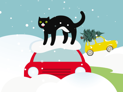 winter cat cat new snow tree winter year