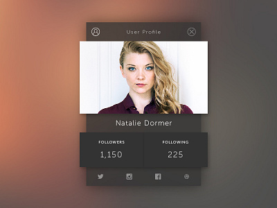 006 User Profile 006 dailyui ui user profile