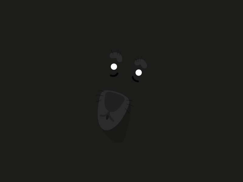 Moonfaced Bear animal animation bear design gif loop motion motion graphics vector