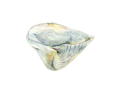 up, shell. watercolour