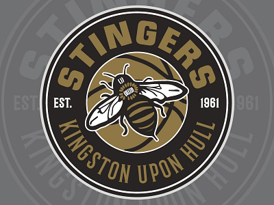 STINGERS basketball branding illustration logo sports