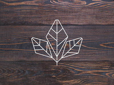 Leaf Element brandmark geometric leaf nature organic