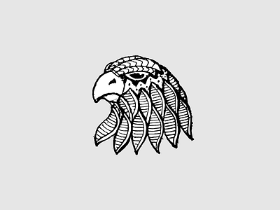 Eagle Head animal bird eagle feather hawk native sketch tattoo vector