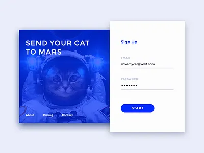 #001 card cat challenge dailyui minimal shadow sign up ui ux