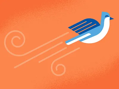 BlueBird animal bird blue bird bluebird bluejay flying wind wing