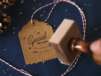 Special Delivery christmas holiday lumi