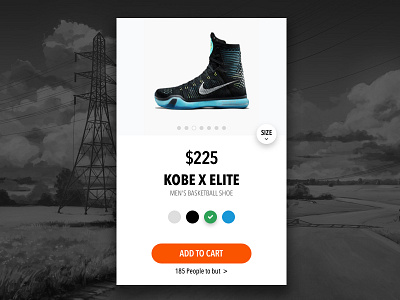 Day-018 Kobe X Elite