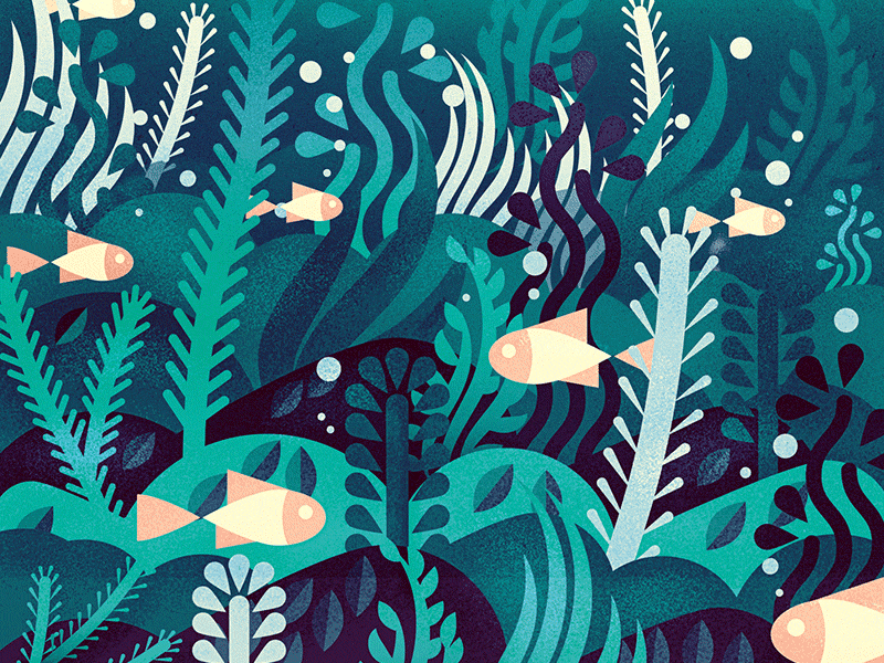 Baltic sea bottom baltic sea cyan fish green life nature sea under water weeds