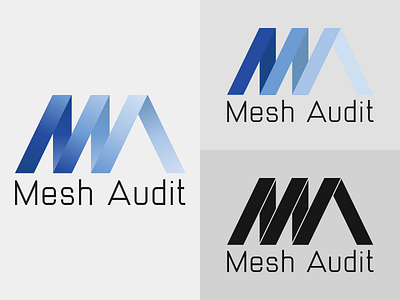 Mesh Audit brand branding identity logo