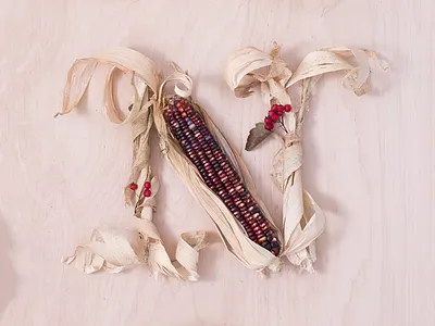 Thanks Giveaway corn dimensional type drop cap food food lettering food type food typography giveaway poster script