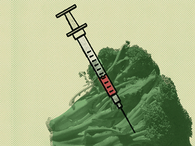 Editorial Illustrations bio collage corn doodle editorial farming gmo photo
