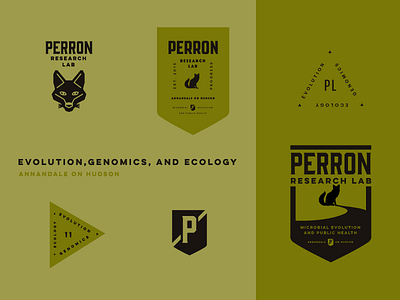 Research Lab Badge badge branding crest icon lab logo logotype research science triangle