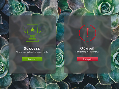 Daily Ui: Day 11 - Flash Message(Error/Success) 011 dailyui error flash message message success ui