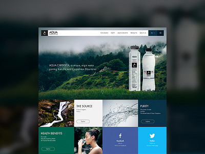 Aqua Carpatica responsive ui ux water web webdesign website