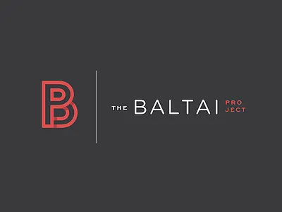 Baltai Project II.I baltai branding direction identity line logo monogram project russian shadow translate