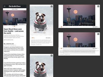 Gallery Exploration app mobile news photo gallery seattle ui ux