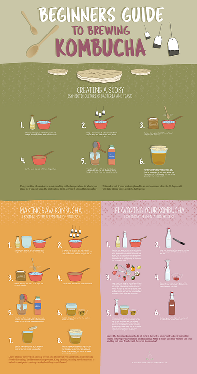 Kombucha Recipe Guide Illustration illustration