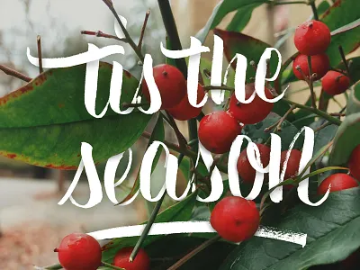 ...to be Jolly 2015 brush lettering christmas handlettering holidays