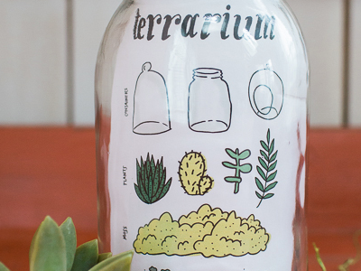 MIY: Terrarium Kit blog craft diy doodle illustration plants terrarium