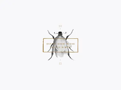 PNW botanical branding floral illustration insect pnw specimen
